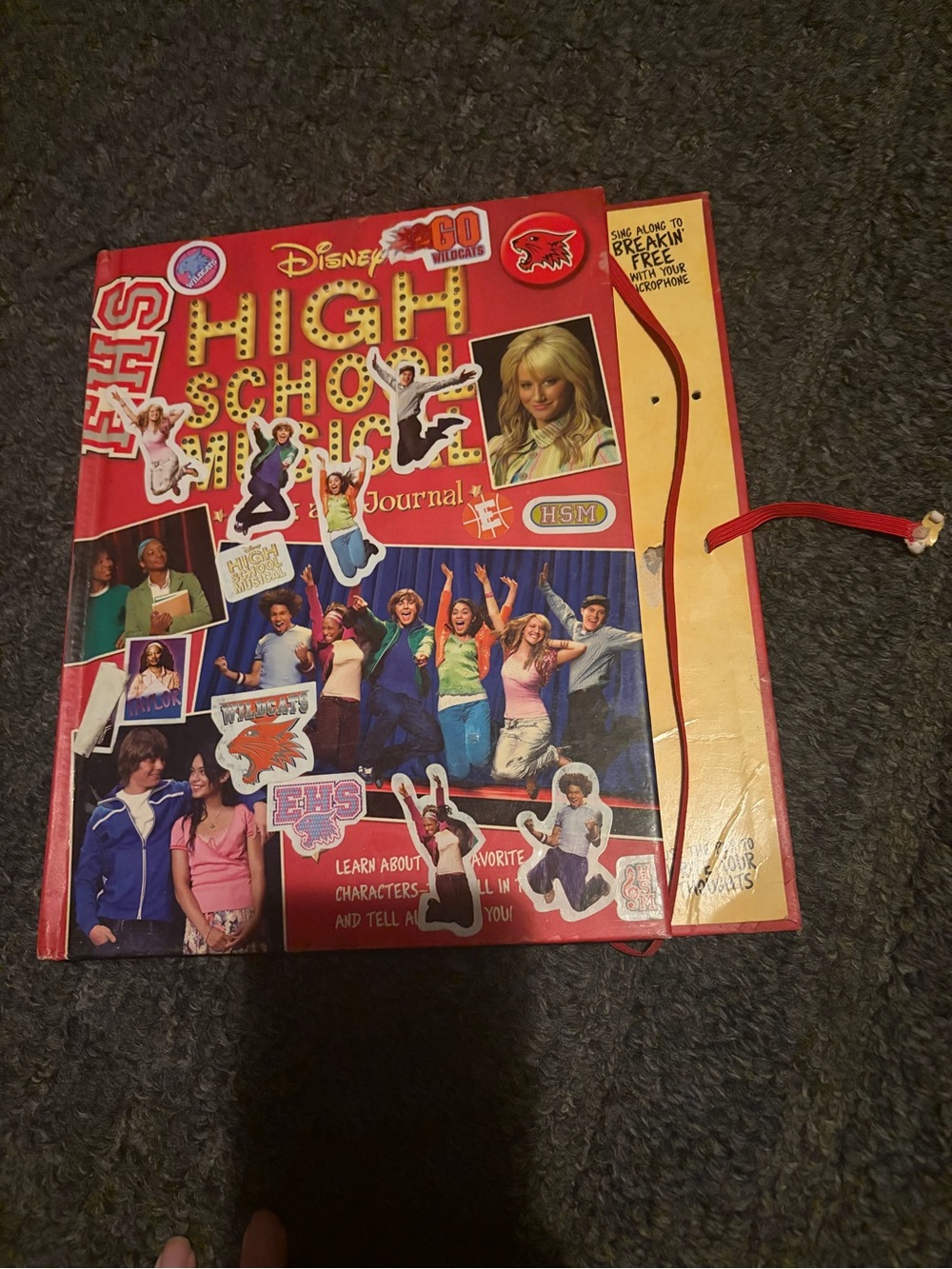Disney high school musical book and journal.